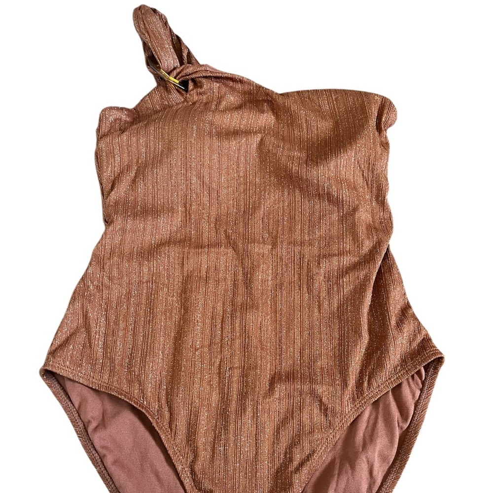 Time and Tru Women’s sparkling Brown Swimsuit